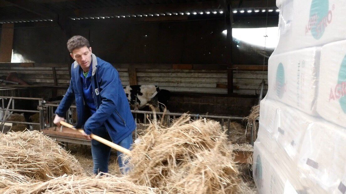 Jeroen van Wijk aan het werk in zijn stal in Odijk