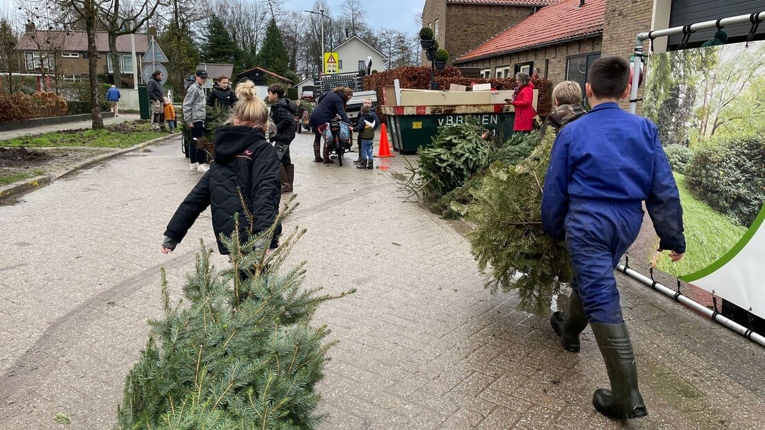 Item Ulrike Nagel over de kerstboom snipperdag in Langbroek