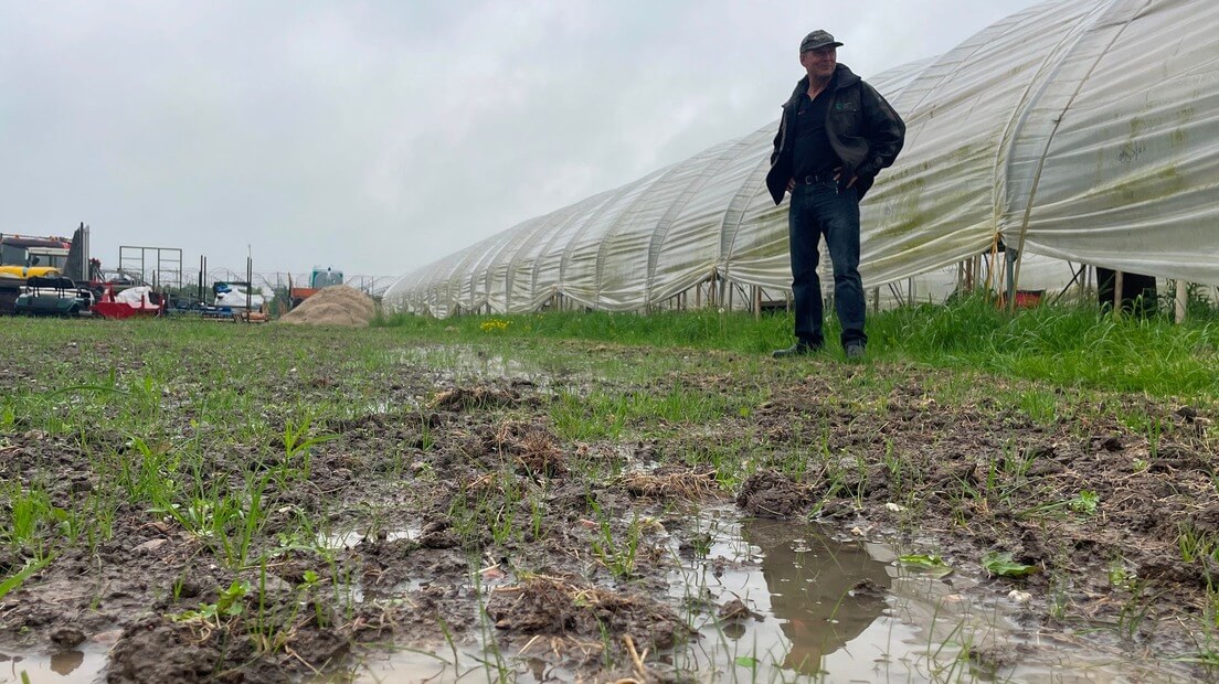 RTV Utrecht: Na de droogte nu eindelijk regen, maar hoe hou je dat vast in de bodem?